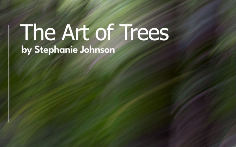 The Art of Trees-Stephanie Johnson en