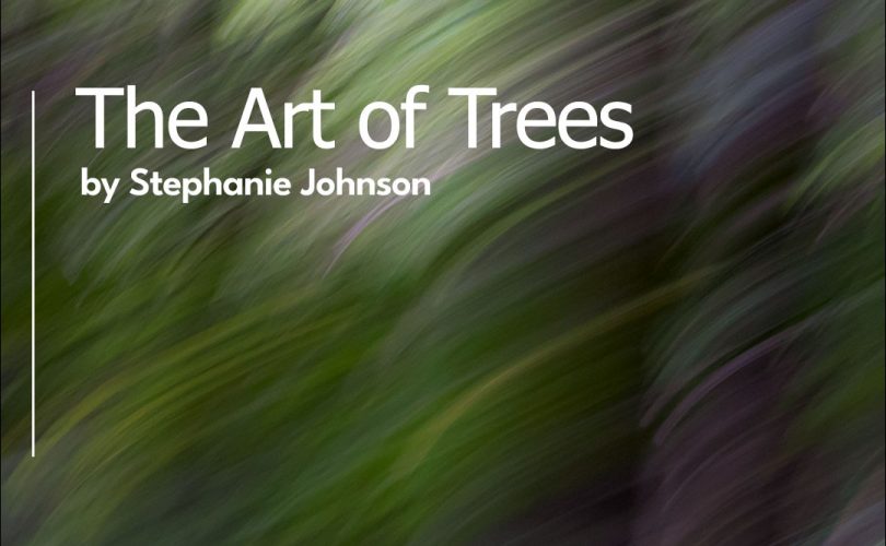 The Art of Trees-Stephanie Johnson en